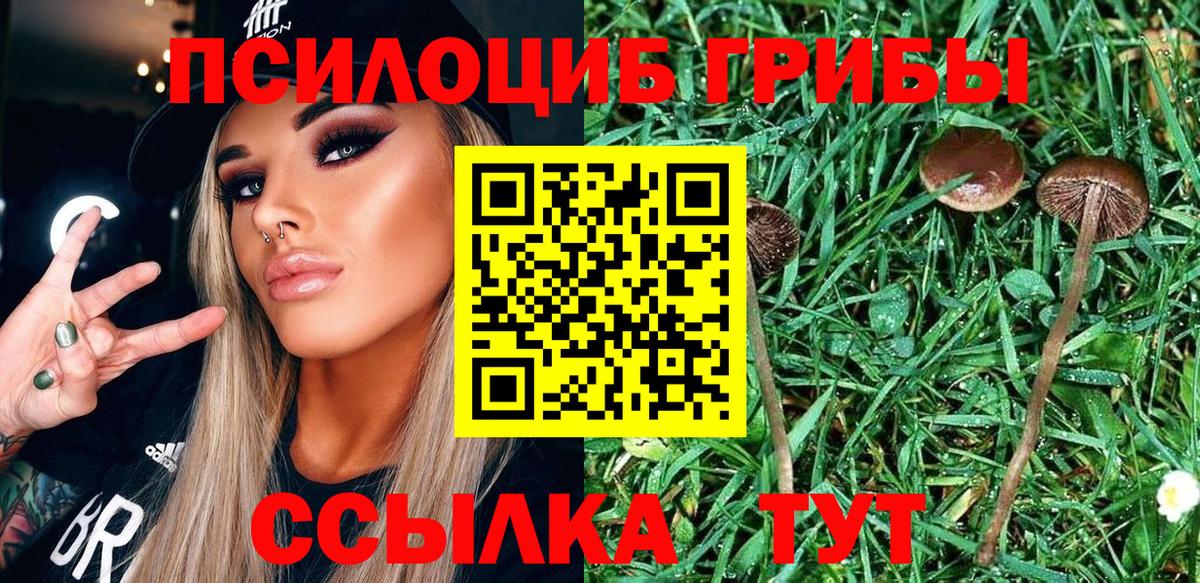 Аксай  Галлюциногенные грибы GOLDEN TEACHER  Галлюциногенные грибы Cubensis  Вход с VPN 